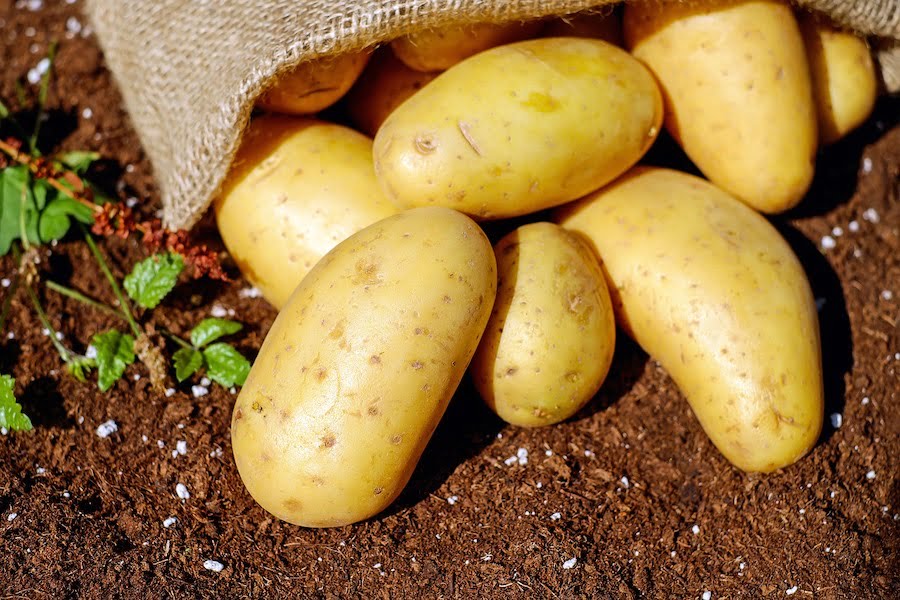 Combien il y a de pommes de terre pour 1 kg ?