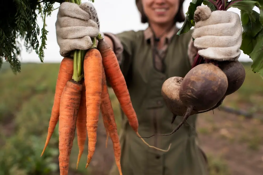 Astuces de conservation des carottes : guide complet pour maximiser fraîcheur et saveur