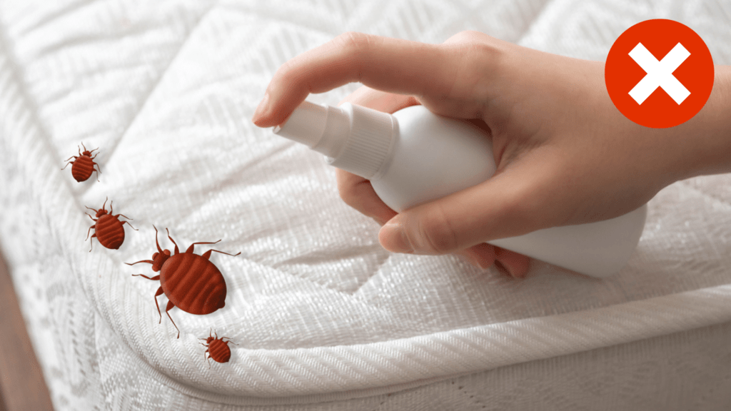 10 fausses bonnes idées contre les punaises de lit : inutiles ou dangereuses !
