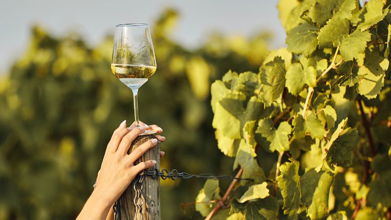 vin blanc : alternative au Mirin