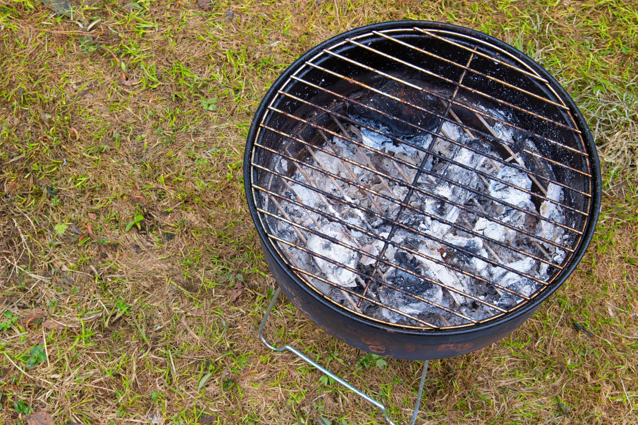 cendres de charbon de bois du barbecue contre les mauvaises herbes