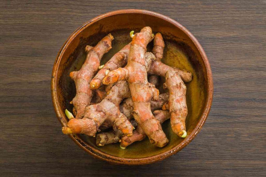 avis des autorités de santé sur le curcuma