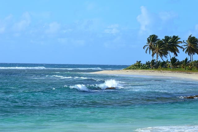 Meilleures périodes pour profiter des attraits de la Guadeloupe