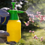 7 recettes d’insecticides naturels efficaces et faciles à réaliser