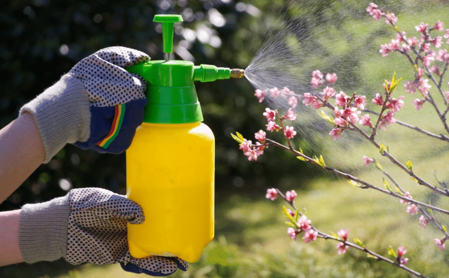 7 recettes d’insecticides naturels efficaces et faciles à réaliser