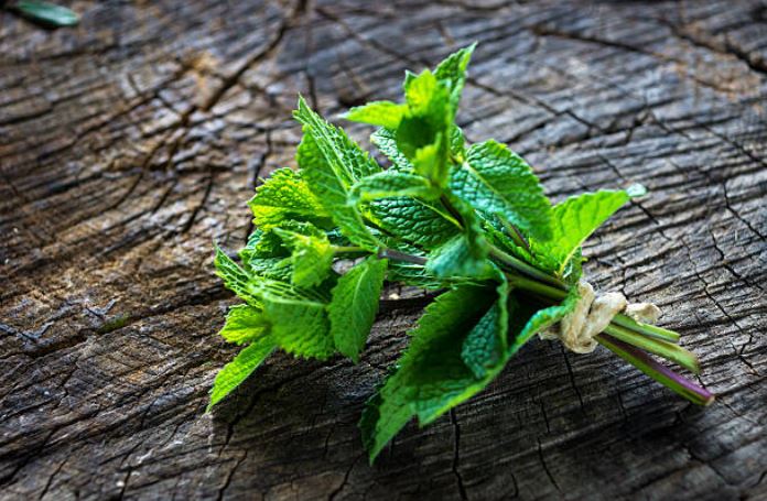 menthe bouquet