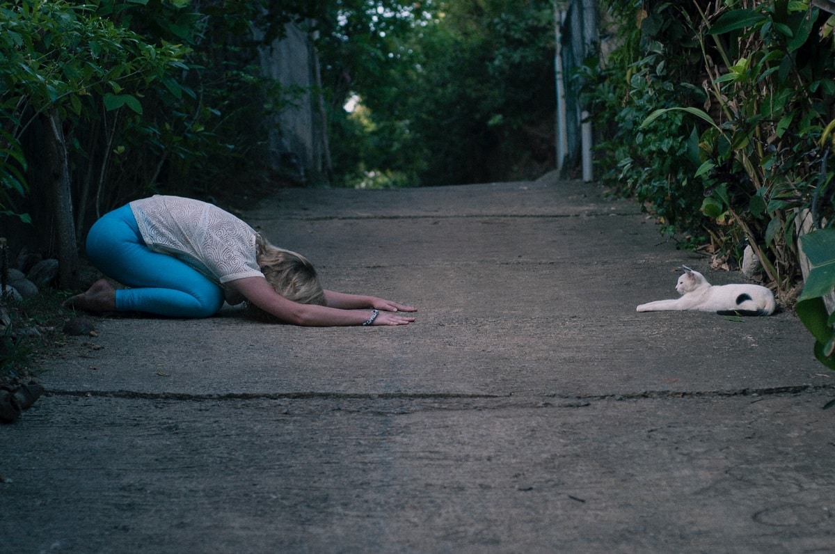 calmer-un-chat-jouer
