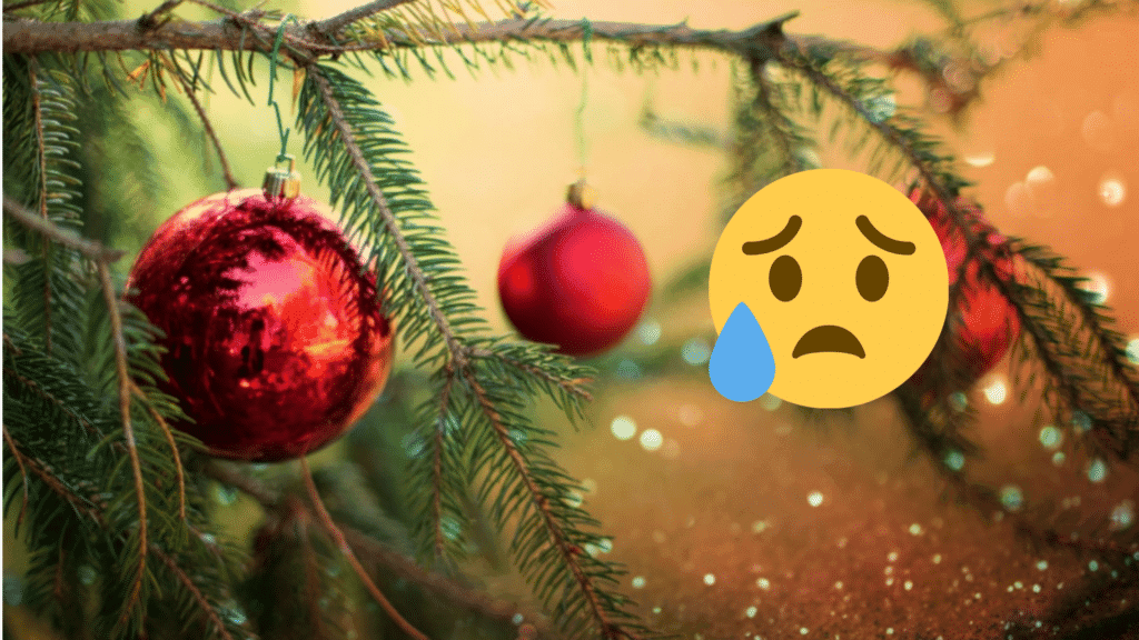 Sapin de Noël qui perd ses aiguilles : astuces pour y remédier !